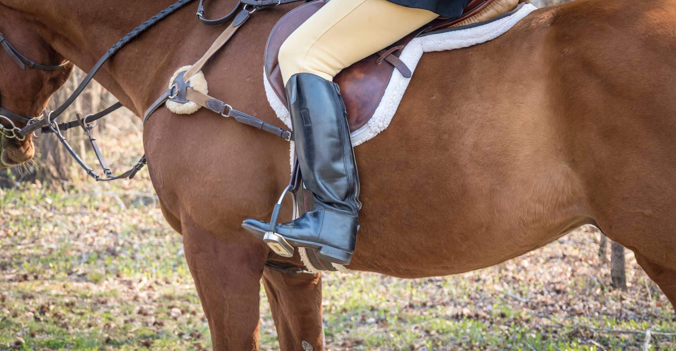 The Trainers Loft saddle pads, A person riding a horse in English riding boots and saddle in a banner format.