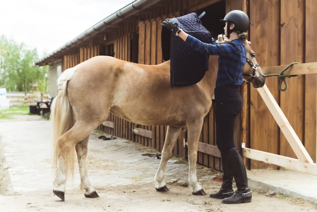 The Trainers Loft saddle pads, Female jockey saddling up her light brown horse. Placing a saddle pad on the back of her horse to protect it from saddle sores. The girl wearing a helmet and gloves. Preparing for the competition.