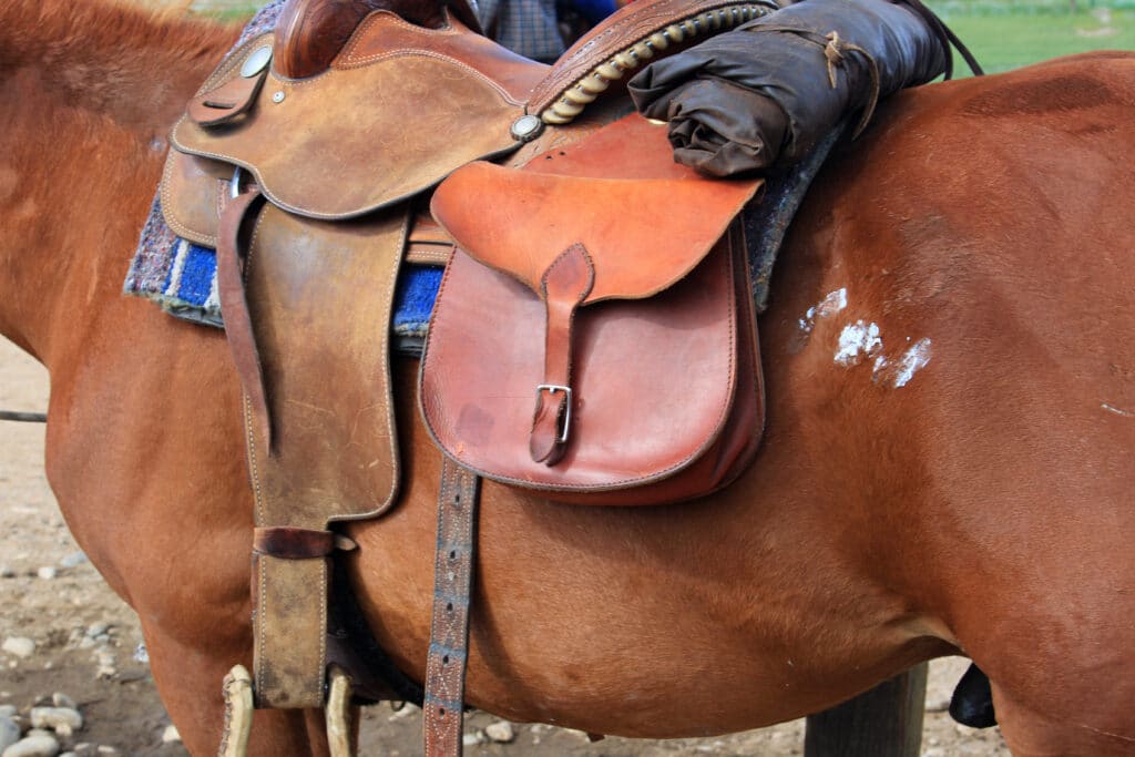 The Trainers Loft second hand equestrian gear, Live on a working ranch