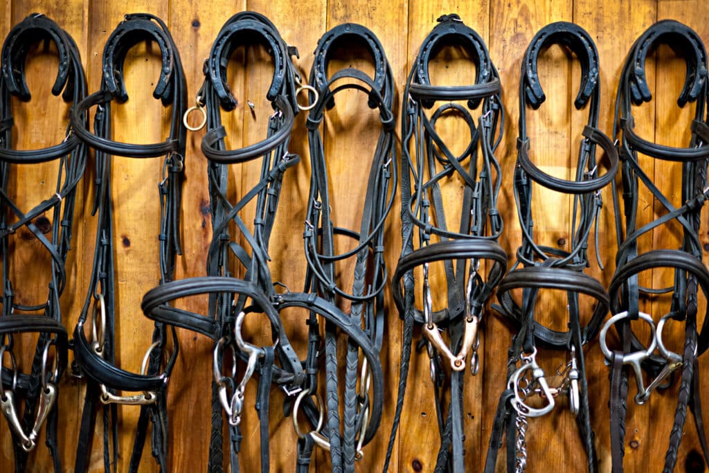 The Trainers Loft second hand equestrian gear, Leather horse bridles and bits hanging on wall of stable