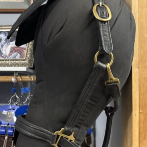 Black Padded Leather Halter, Full