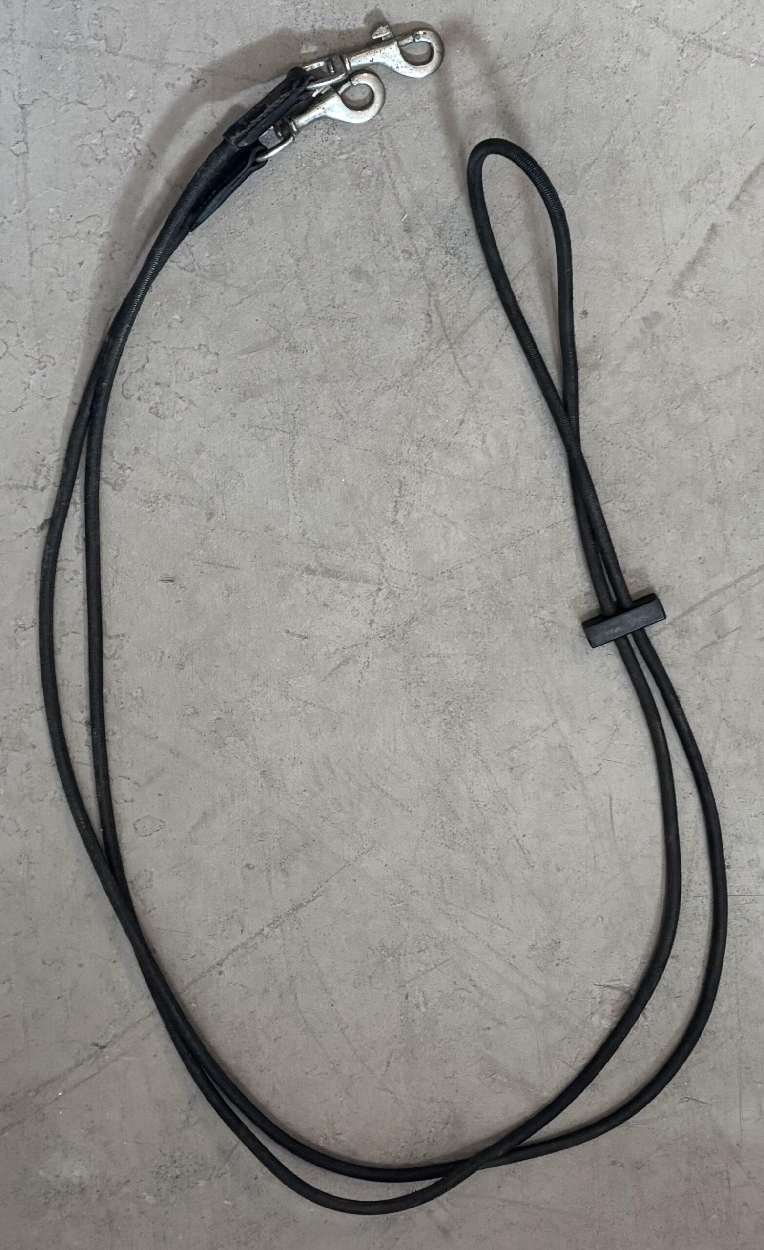 Elastic Draw Reins 1 Elastic Draw Reins