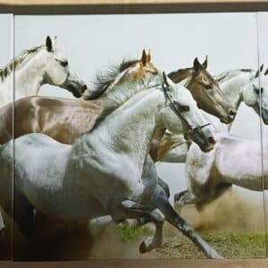 3 Piece Photos of horses Running