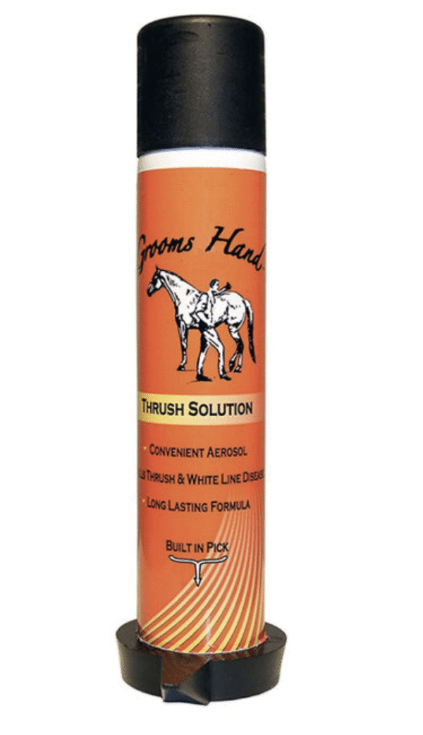 Groom’s Hand Thrush Solution