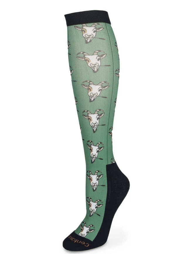 Screen Shot 2025-08-04 at 4.47.52 PM Screen Shot 2025-08-04 at 4.47.52 PM