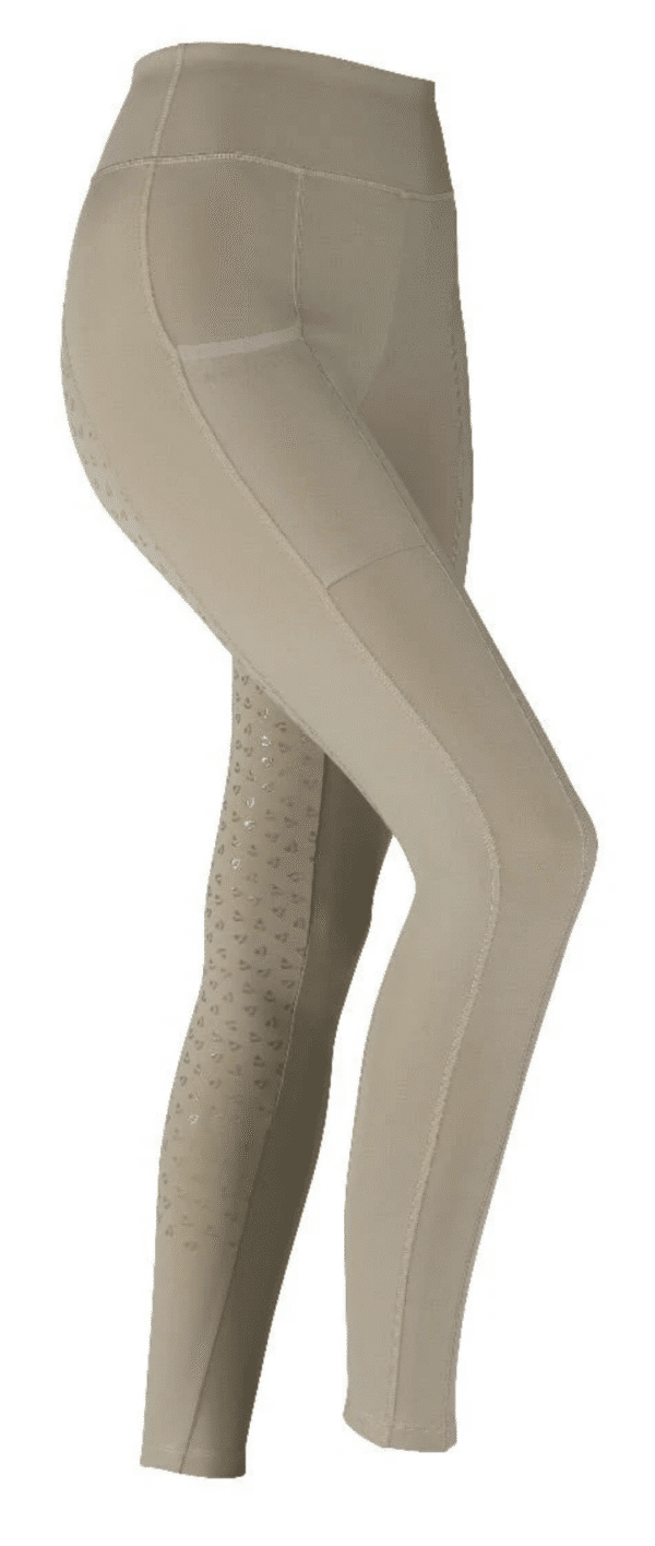 Screen Shot 2025-08-08 at 1.46.12 PM Aubrion Hudson Riding Tights