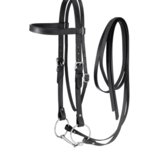 King Series Draft Horse Leather Bridle