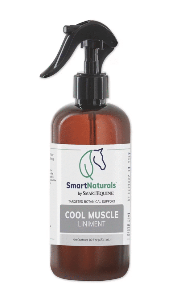 SmartNaturals Cool Muscle Liniment