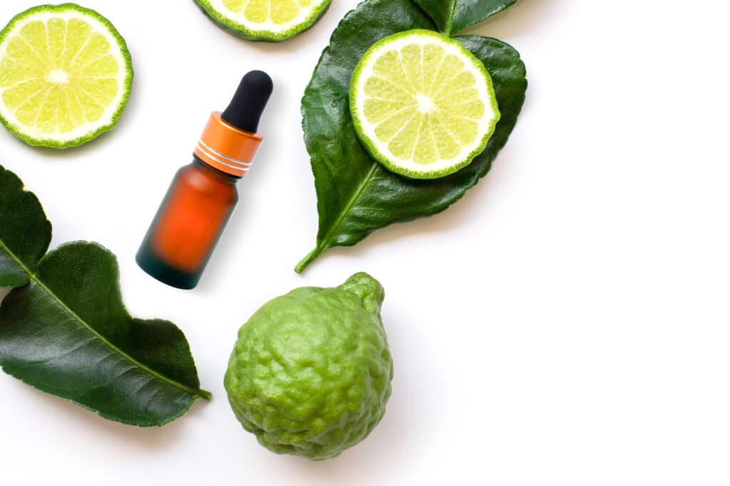 The Trainers Loft Aromatherapy for Horses, Green Bergamot or kaffir lime fruit with cut in half and bottle of essential bergamot oil extract isolated on white background. Hair tonic concept. Top view. Flat lay.