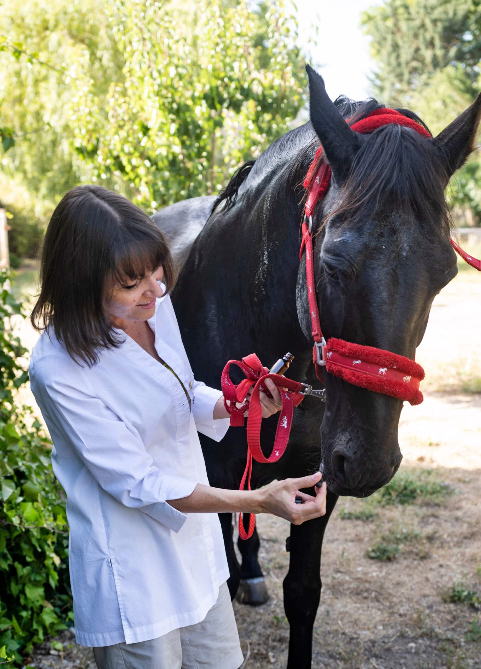 The Trainers Loft Aromatherapy for Horses, alternative medicine for horse and vet outdoors