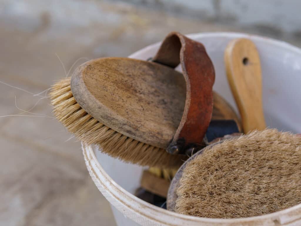 The Trainers Loft Horse Brushes, Brushes for cleaning the horse. Horse care. Grooming of horses