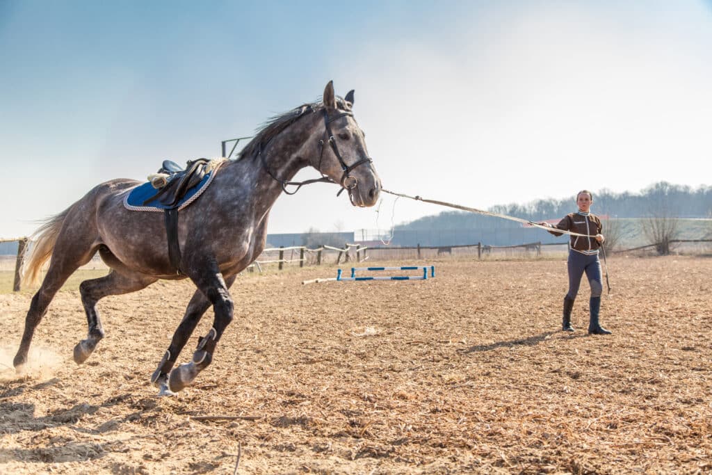 The Trainers Loft Horse Training Gear, Young woman training a horse