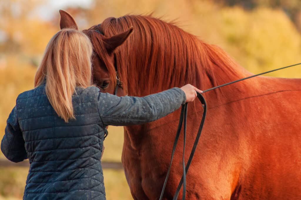 The Trainers Loft Horse Training Gear, Communication between horse and a human. Blonde woman training chestunt horse in hand.