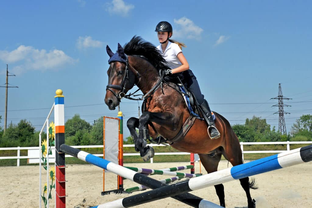 The Trainers Loft Horse Training Gear, Girl riding a horse on jumping competitions.