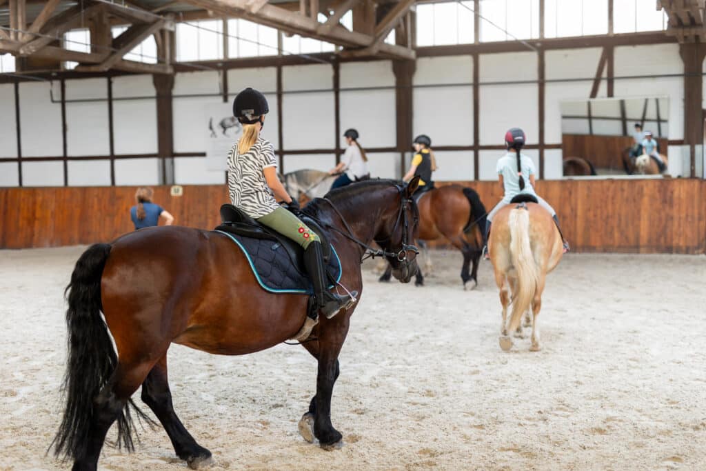 The Trainers Loft Horse Training Gear, Horse riding school. Little children girls at group training equestrian lessons in indoor ranch horse riding hall. Cute little beginner blond girl kid in helmet sitting on brown horse horseback