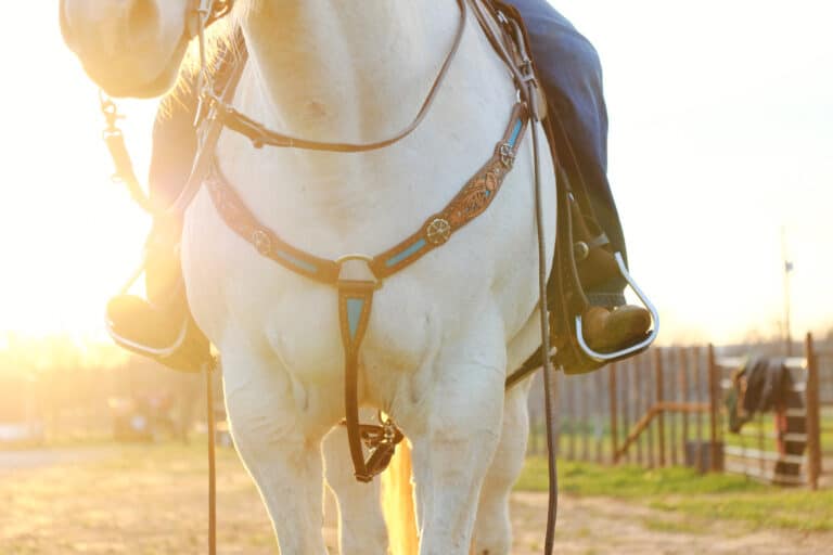 The Trainer's Loft Western Safety Stirrups, Horseback riding shows cowboy boots in stirrups with horse in tack during sunset, close-up of western industry concept.