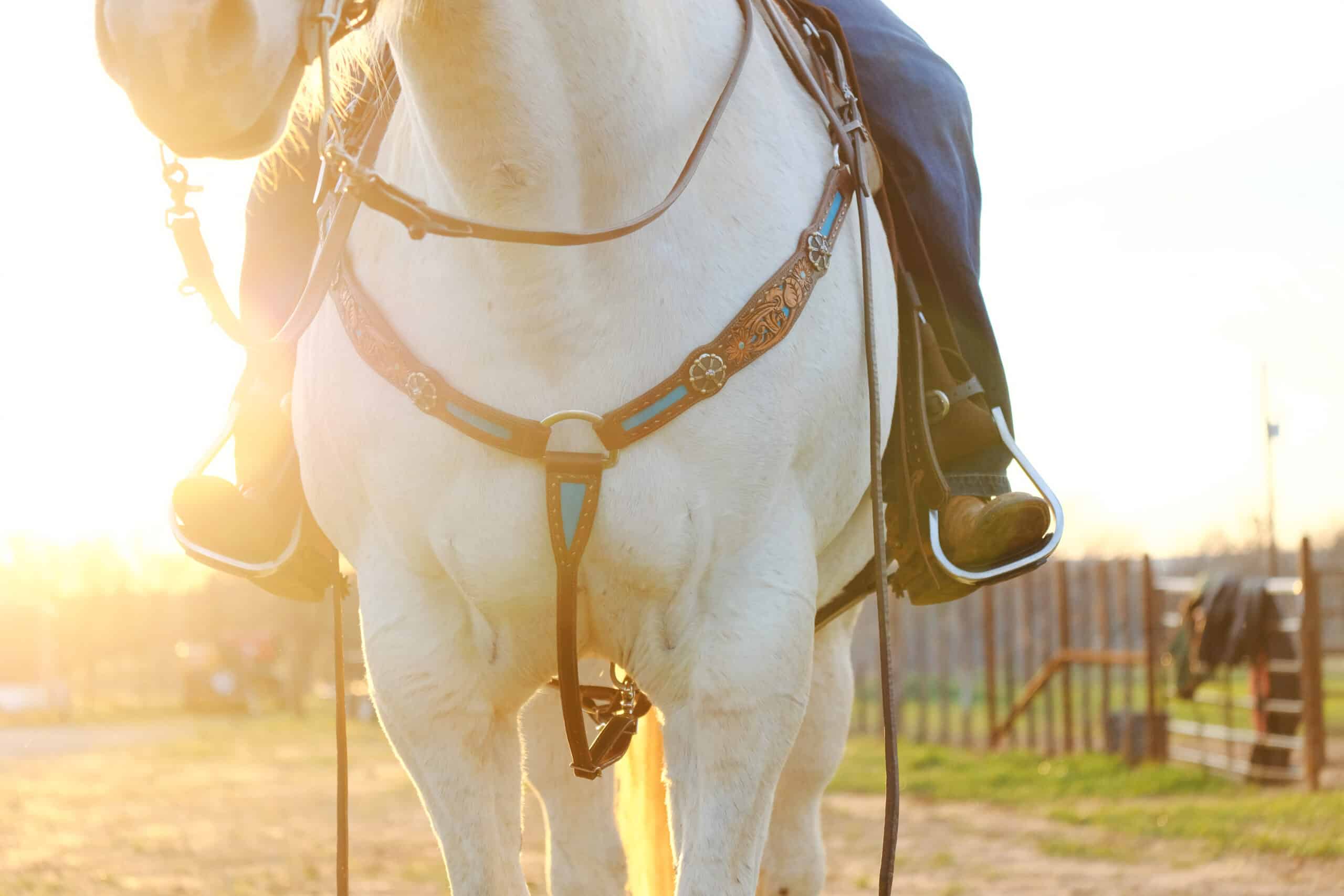 The Trainer's Loft Western Safety Stirrups, Horseback riding shows cowboy boots in stirrups with horse in tack during sunset, close-up of western industry concept.