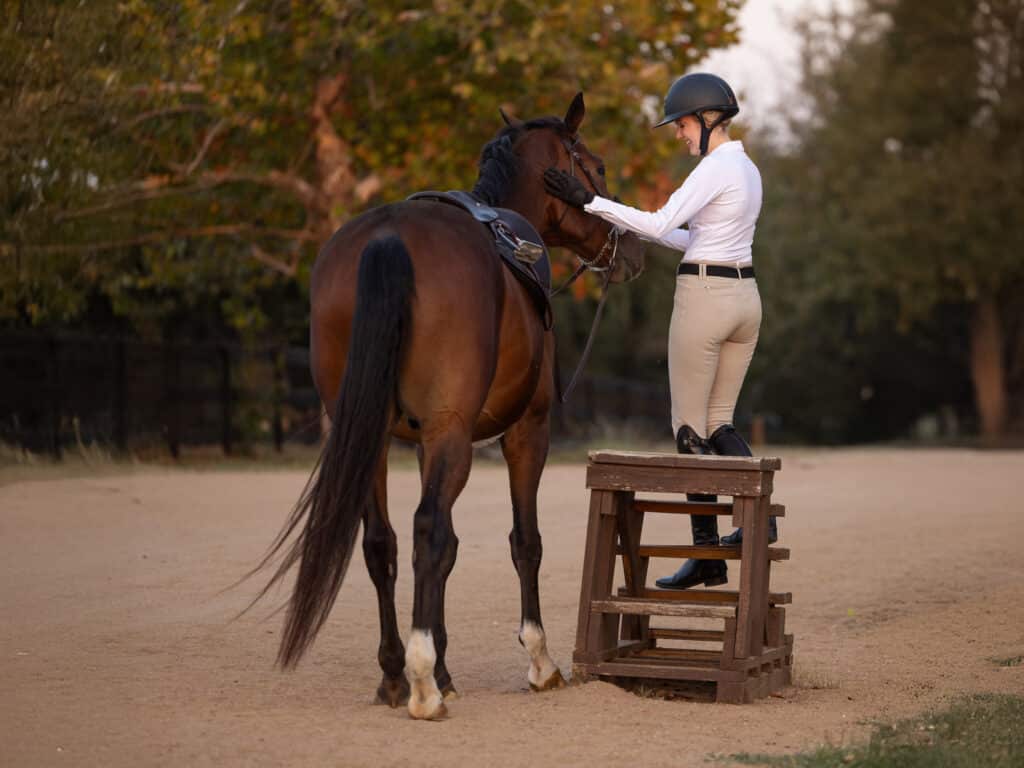 The Trainer's Loft Western Safety Stirrups, Horse Equestrian hunter jumper riding portrait tack English attire mounting block