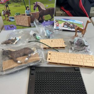 Schleich Washing Area with Horse Club Emily and Luna Playset