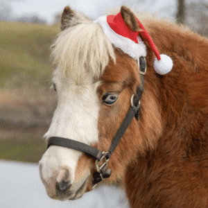 Tough1 One Ear Santa Hat