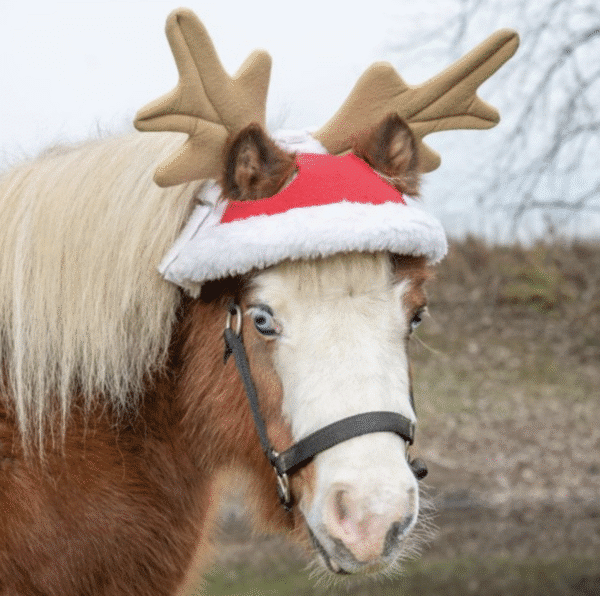Tough1 Double Ear Reindeer Hat