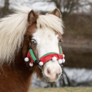 Tough1 Elf Halter Covers - 3 Piece Set