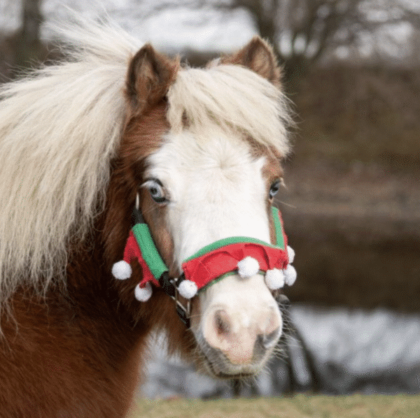 Tough1 Elf Halter Covers - 3 Piece Set