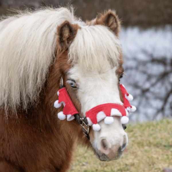 Tough1 Jolly Santa 3 Piece Halter Set