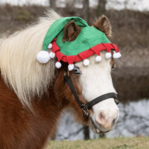 Tough1 Festive Elf Horse Hat