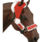 horse one ear santa hat