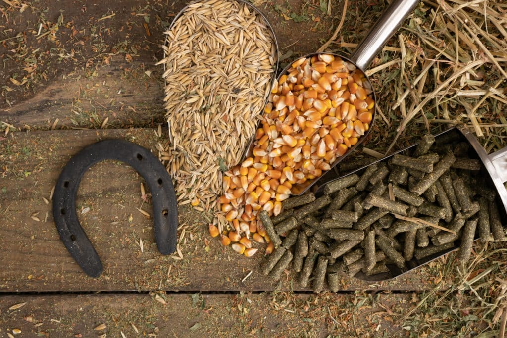 The Trainers Loft best feed for horses in fall, Shovel spoons with forage ingredients, and balanced for horses