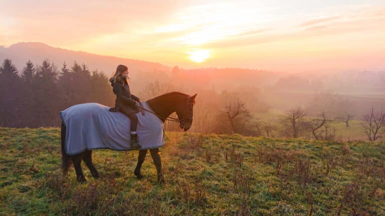 The Trainers Loft horse blanket guide, Young female riding a blanket covered stallion around the countryside in winter.
