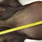 Stubben Siegfried All Purpose Saddle, 17", 31cm
