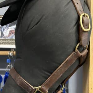 Leather Halter, Full