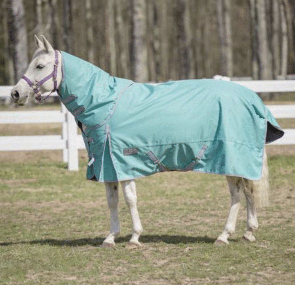 TuffRider 1200 D Comfy Winter Medium Weight Turnout Blanket W/ Detachable Neck 200 GSM