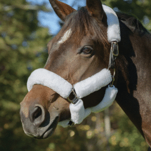 halter fleece