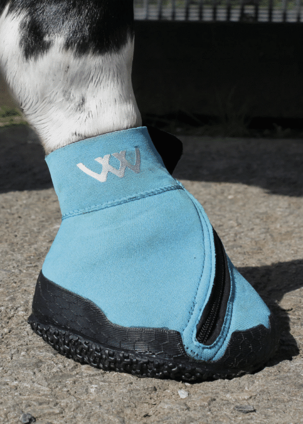 Woof Wear Medical Boot