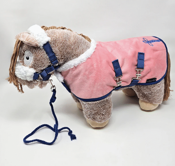 Screen Shot 2025-10-29 at 11.27.43 AM Crafty Pony Fleece Show Rug Set