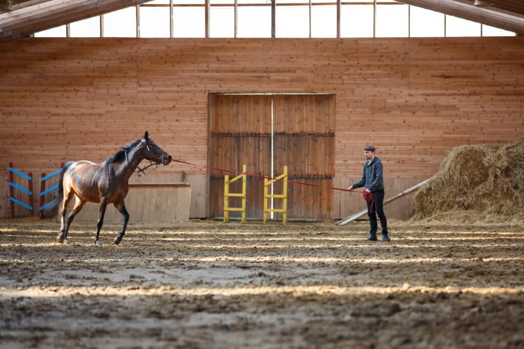 The Trainers Loft Cold Weather Horse Care, The man training his horse in manege