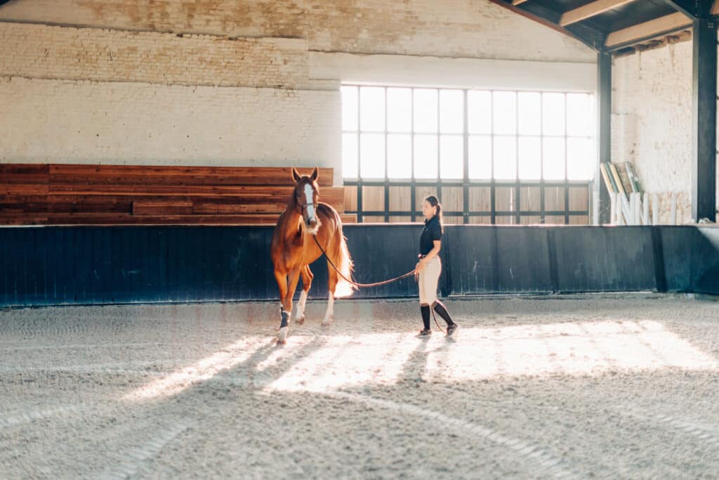 The Trainers Loft Cold Weather Horse Care, Female equestrian training a chestnut horse in an indoor riding arena with warm sunlight and rustic surroundings