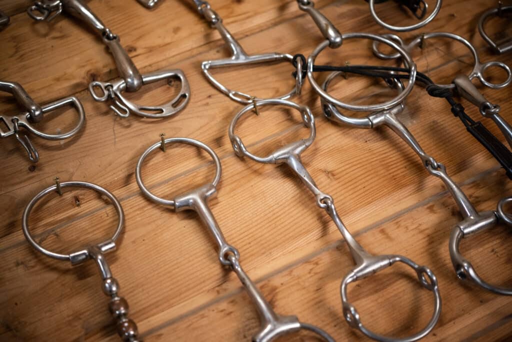 The Trainers Loft types of horse bits, Closeup of Different Types of Metal Horse Bits Hanging on the Wall in Professional Sport Stable Tack Room. Equestrian Equipment Theme.
