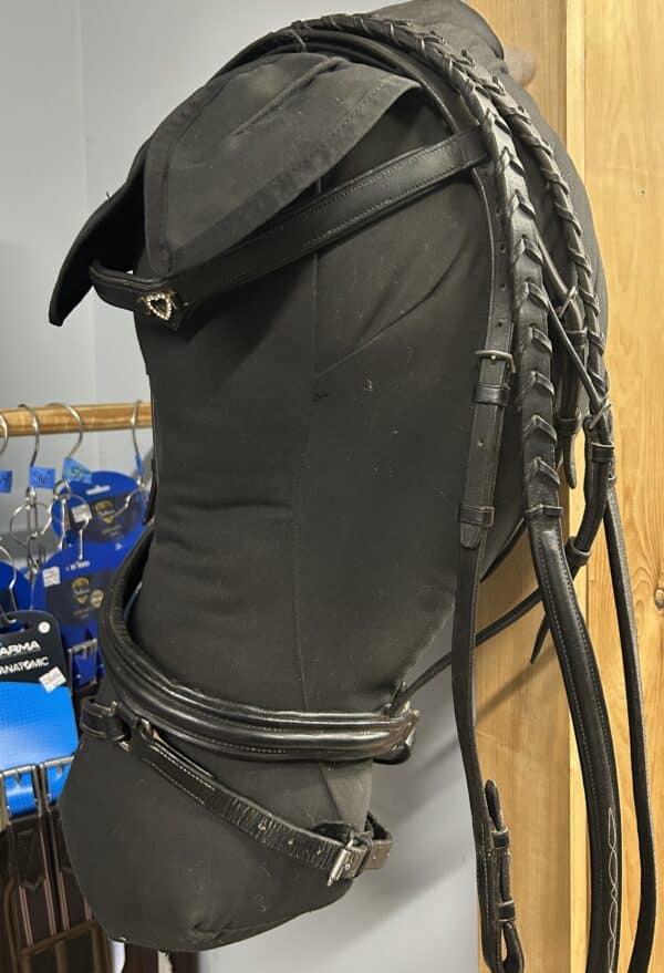 Dressage Bridle, Oversize