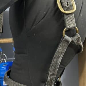 Nylon Halter, Horse