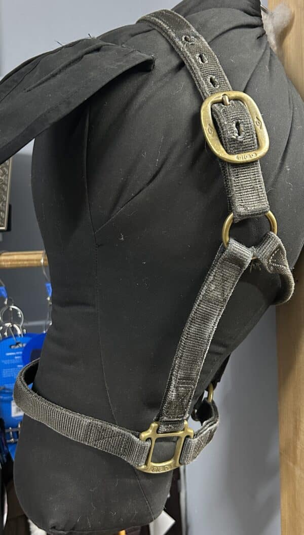 Nylon Halter, Horse