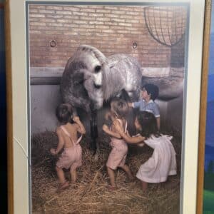 Portuguese Framed Lusitano Print