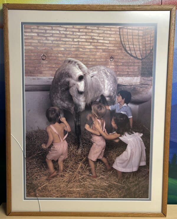 Portuguese Framed Lusitano Print