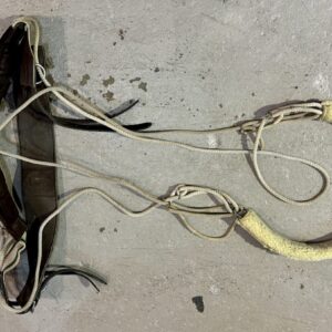 Pessoa Lunging System