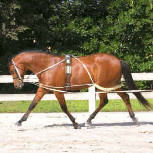 Screen Shot 2025 11 24 at 4.43.25 PM