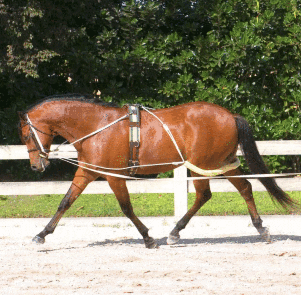 Screen Shot 2025-11-24 at 4.43.25 PM Screen Shot 2025-11-24 at 4.43.25 PM