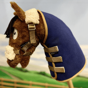 Crafty Pony Hobby Horse Rug Set